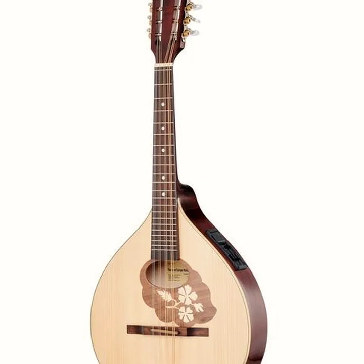 Avis & Test : Thomann Europe Mandola M1088-P/LH