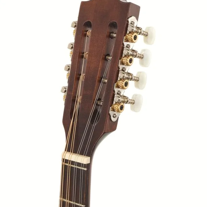 Avis, Test : Thomann Irish Bouzouki M1089A-P