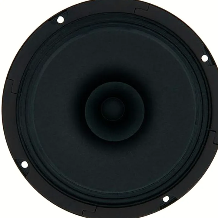 Avis & Test : Visaton BG 17 8 Ohm