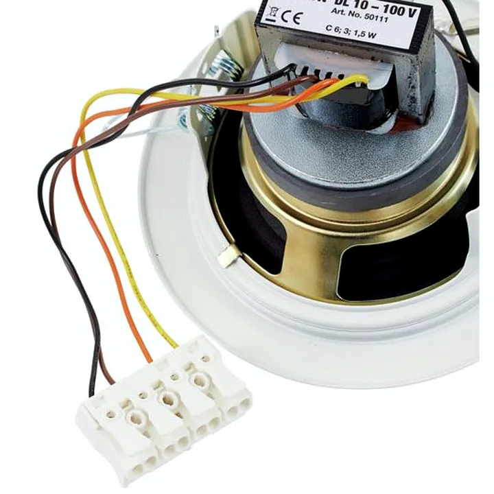 Avis & Test : Visaton DL 10 100 V