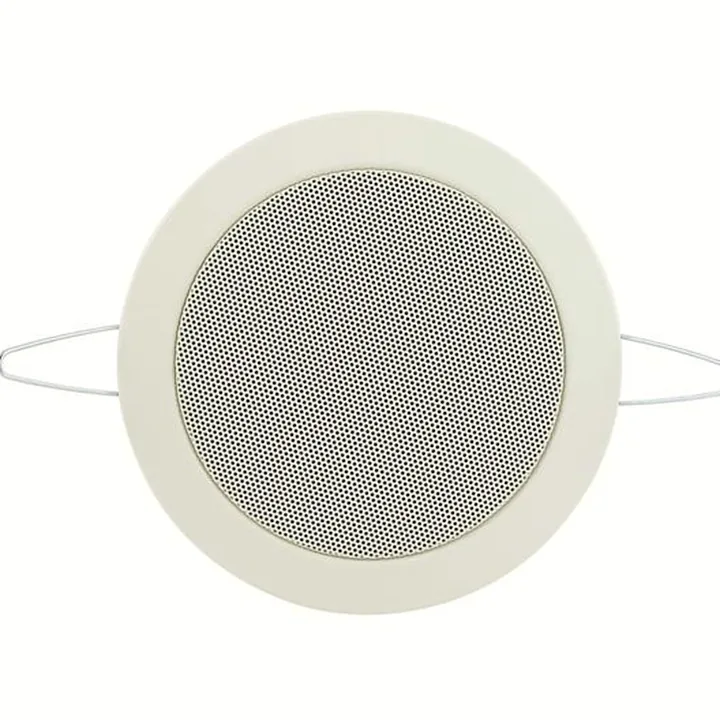 Avis & Test : Visaton DL 10 100 V