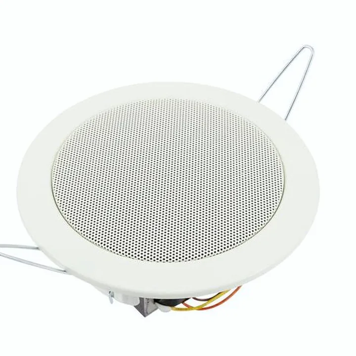 Avis & Test : Visaton DL 10 100 V