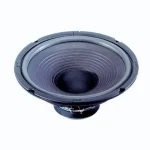 Avis & Test : Visaton W250-8