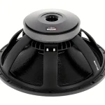 B&C 18PZB100 : Avis & Test