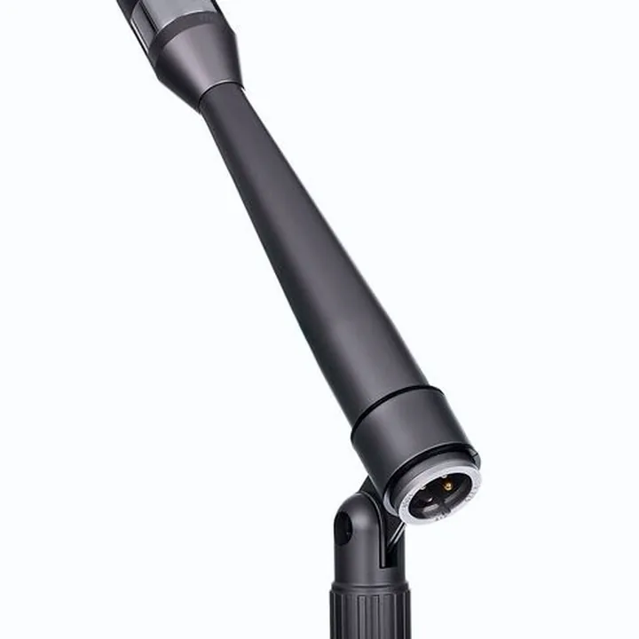 Chant, Podcasts, Instruments : Avis sur la polyvalence du Microtech Gefell M 102
