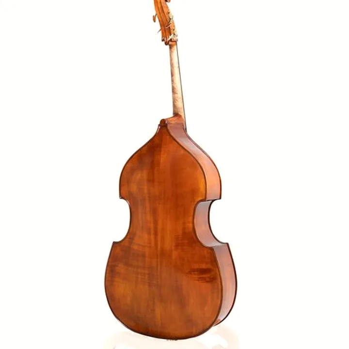 Contrebasse Georg Walther Concert Double Bass 3/4 RB / Avis, Test