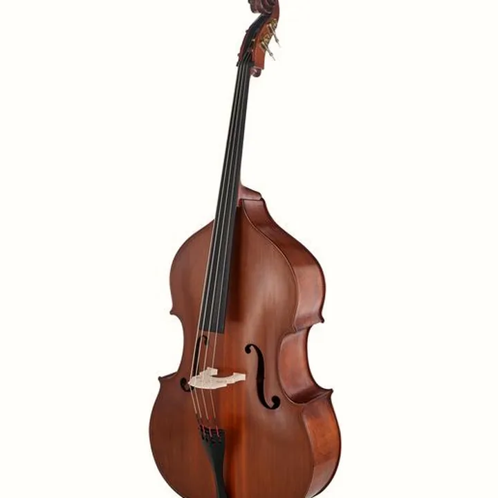 Contrebasse Gewa Premium Line Solid Top DB 1/2 , Avis, Test & Comparatif