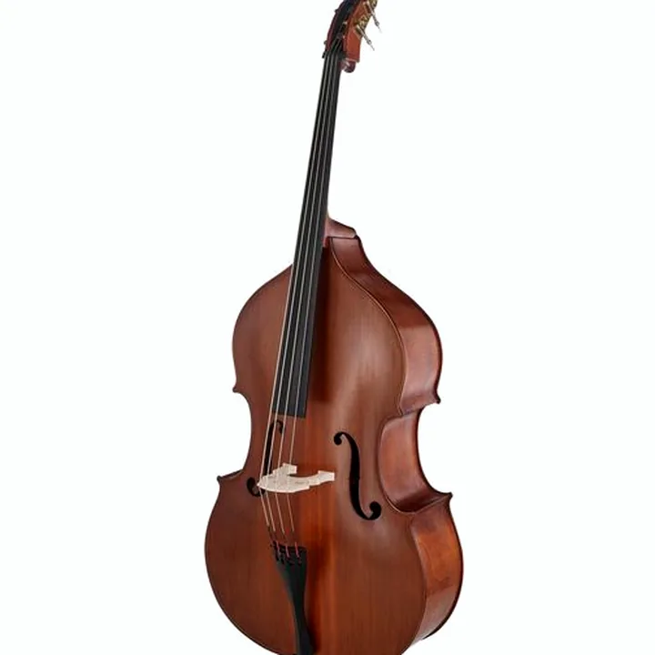 Contrebasse Gewa Premium Line Solid Top DB 1/4 – Avis, Comparatif et Test