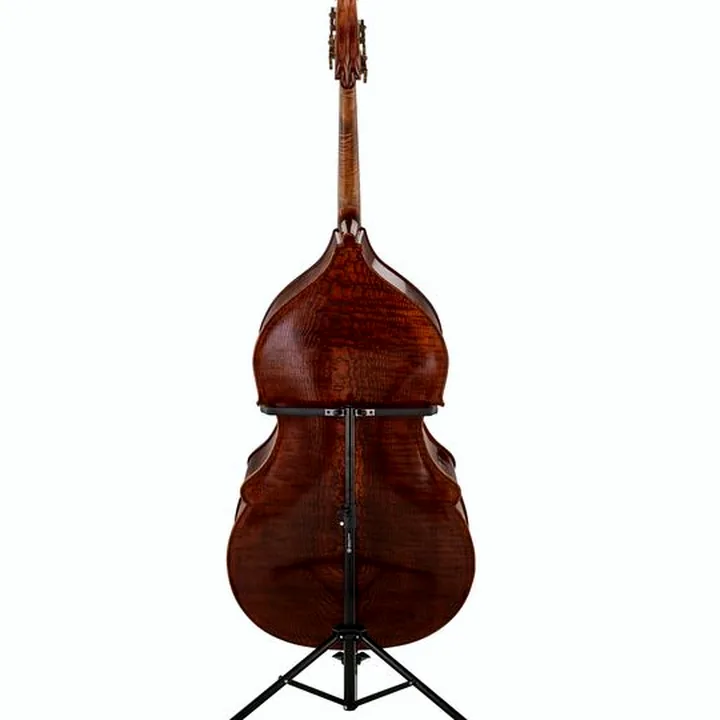 Contrebasse Master Bucur Double Bass Busseto o.p.b. Test, Avis et Comparatif