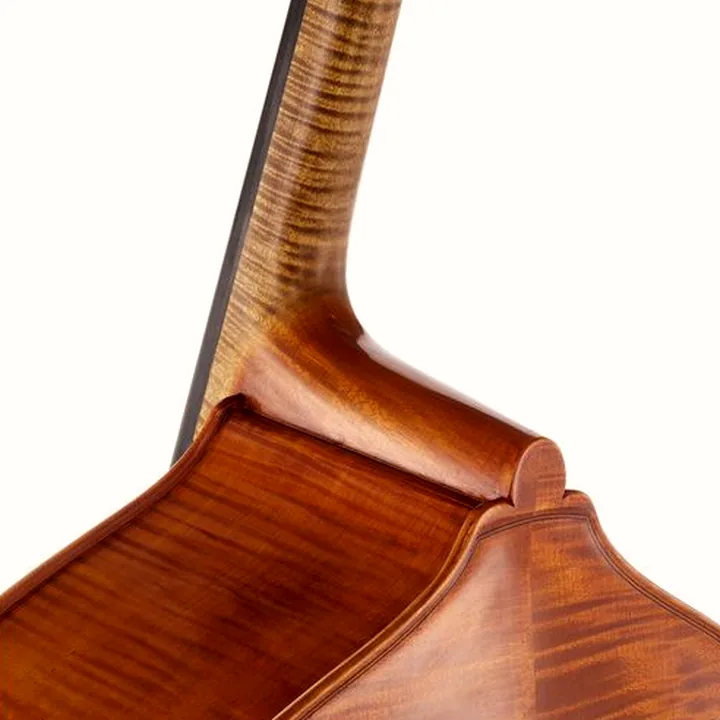 Contrebasse Master Bucur Double Bass Rogeri Lion`s Head , Avis, Test