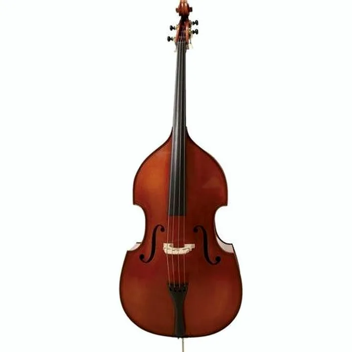 Contrebasse Meister Rubner Double Bass No.69 3/4 – Avis et Test