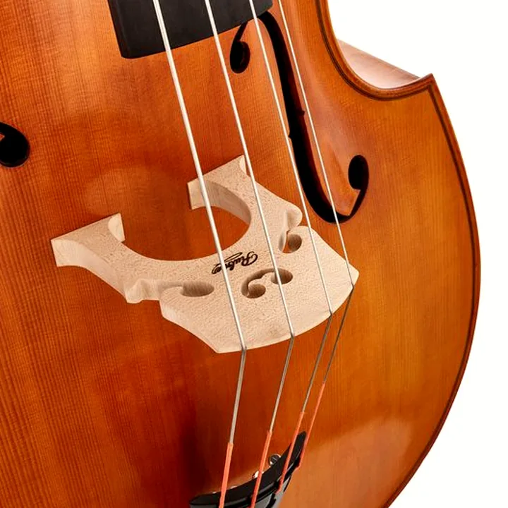 Contrebasse Meister Rubner Solo Double Bass Lady`s Head Avis, Test, Comparatif