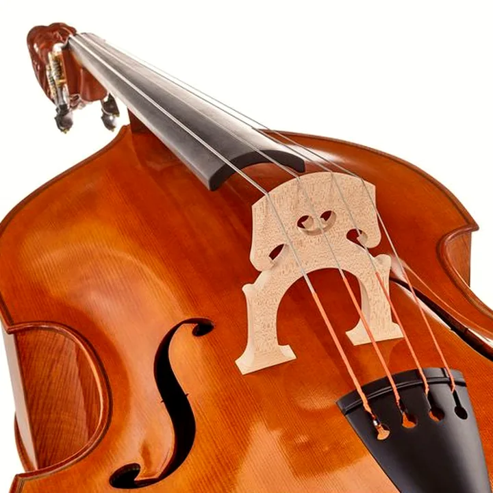 Contrebasse Meister Rubner Solo Double Bass Lady`s Head Avis, Test, Comparatif