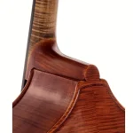 Contrebasse Scala Vilagio Double Bass Bucur 5-Str. IB Test, Avis, Comparatif