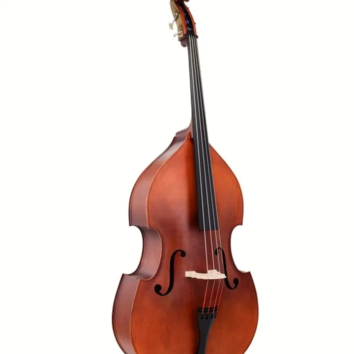 Contrebasse Thomann 111SN Jazz Club Double Bass Test, Comparatif et Avis
