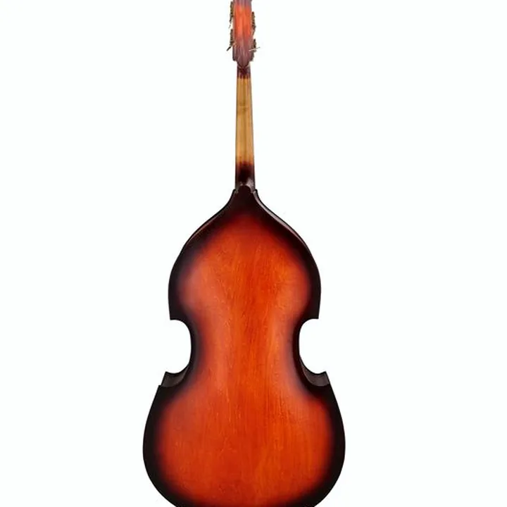 Contrebasse Thomann 111TS Jazz Club Double Bass / Test et Avis