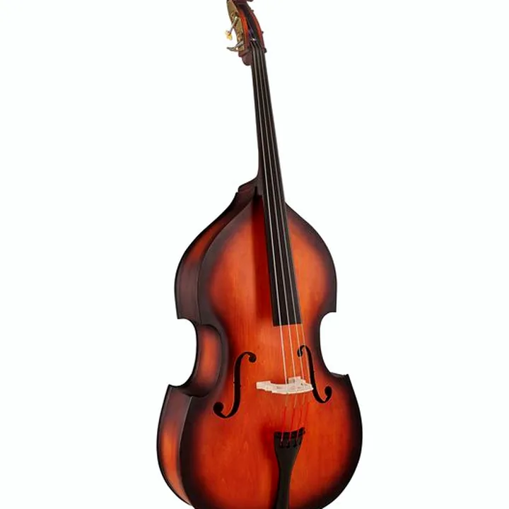 Contrebasse Thomann 111TS Jazz Club Double Bass / Test et Avis