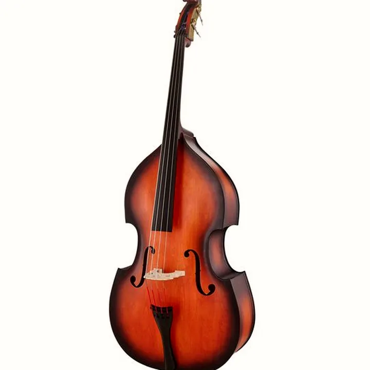 Contrebasse Thomann 111TS Jazz Club Double Bass / Test et Avis