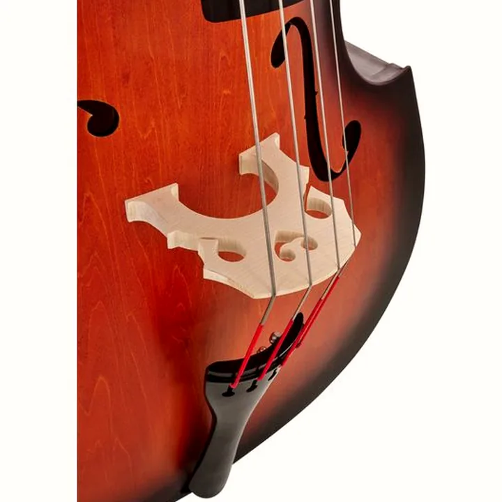 Contrebasse Thomann 111TS Jazz Club Double Bass / Test et Avis