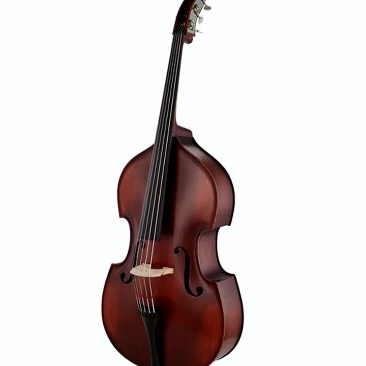 Contrebasse Thomann 22AS/5str/LH 3/4 Europe Bass , Test, Avis et Comparatif