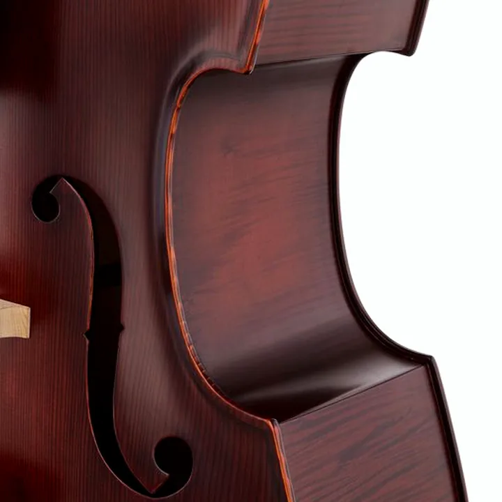 Contrebasse Thomann 22AS/5str/LH 3/4 Europe Bass , Test, Avis et Comparatif