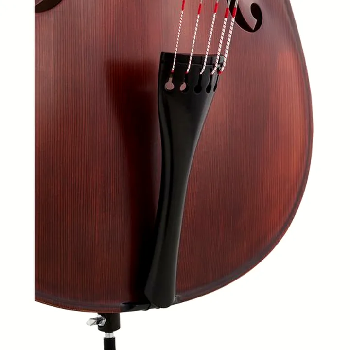 Contrebasse Thomann 22AS/5str/LH 3/4 Europe Bass , Test, Avis et Comparatif