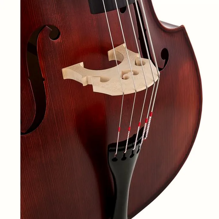 Contrebasse Thomann 22AS/5str/LH 3/4 Europe Bass , Test, Avis et Comparatif