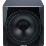 Enceinte Dynaudio 9S , Avis et Test