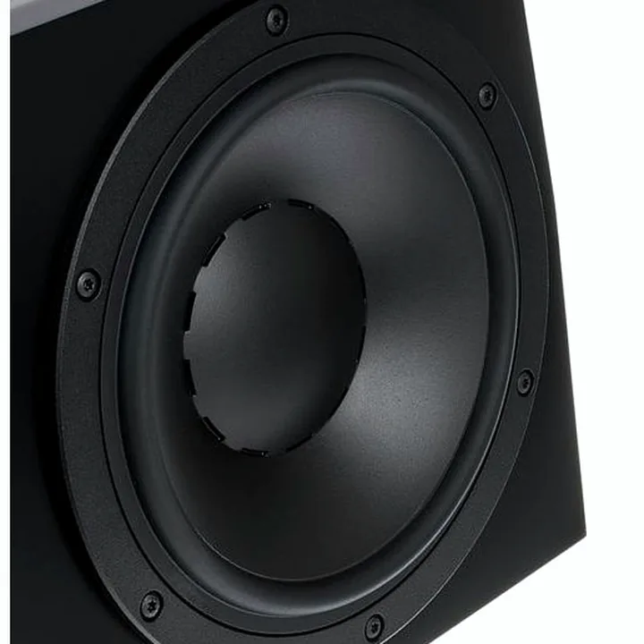 Enceinte Dynaudio LYD-48 Black Left – Avis et Test