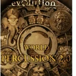 Evolution Series World Percussion 2.0 / Avis, Comparatif, Test