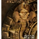 Evolution Series World Percussion Asia Test, Avis