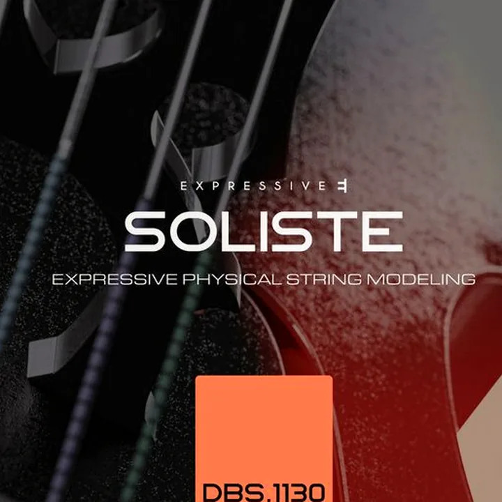 Expressive E Soliste DBS 1130 Double Bass , Avis, Test, Comparatif