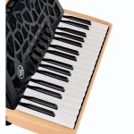 Hohner Bravo III 72 myColor Earth , Test, Comparatif, Avis