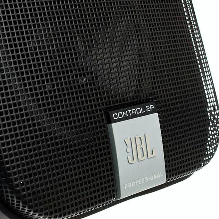 JBL Control 2 PS BK : Avis et Test