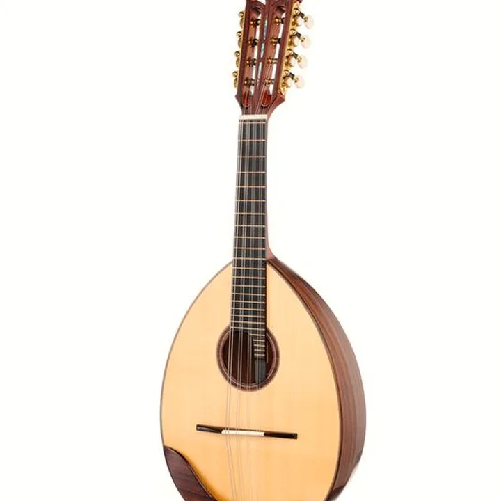 K. Knorr La Gioiosa Solist Mandolin RW – Comparatif, Test et Avis