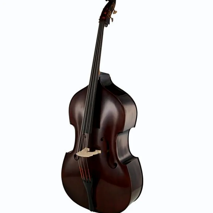La contrebasse Georg Walther Concert Double Bass 4/4 DB Avis, Comparatif, Test