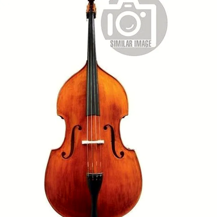 La contrebasse Meister Rubner Double Bass No.62 4/4 5-string / Comparatif, Avis & Test