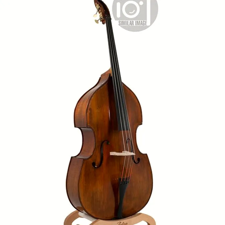 La contrebasse Meister Rubner Double Bass No.67 4/4 5-Str. Avis, Comparatif & Test
