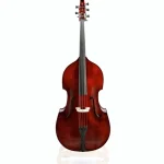 La contrebasse Meister Rubner Double Bass No.68S 4/4 5-Str. Avis & Test