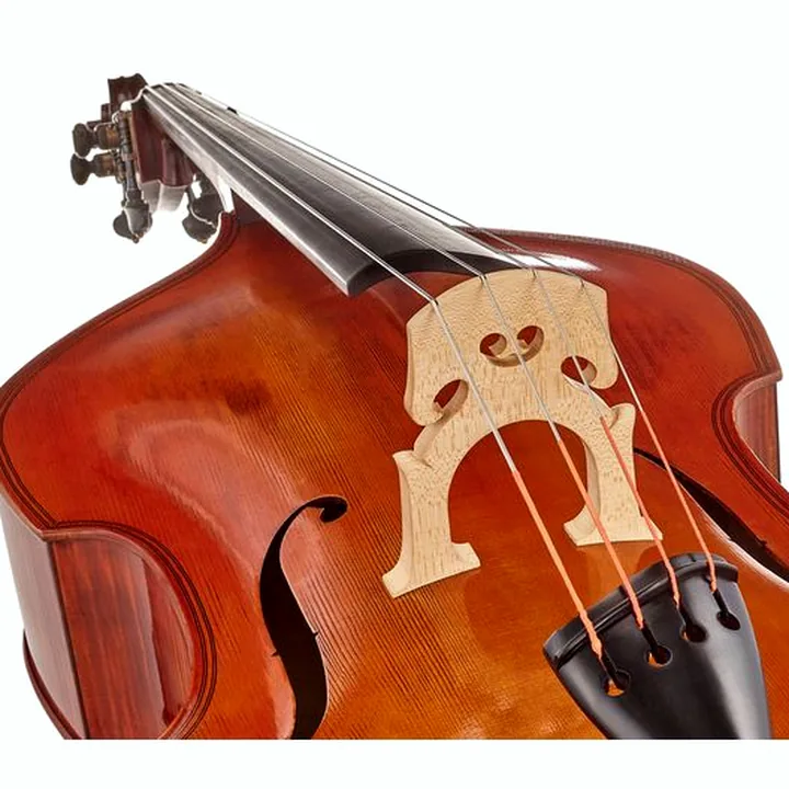 La contrebasse Meister Rubner Solo Double Bass Scroll Head Comparatif, Test & Avis