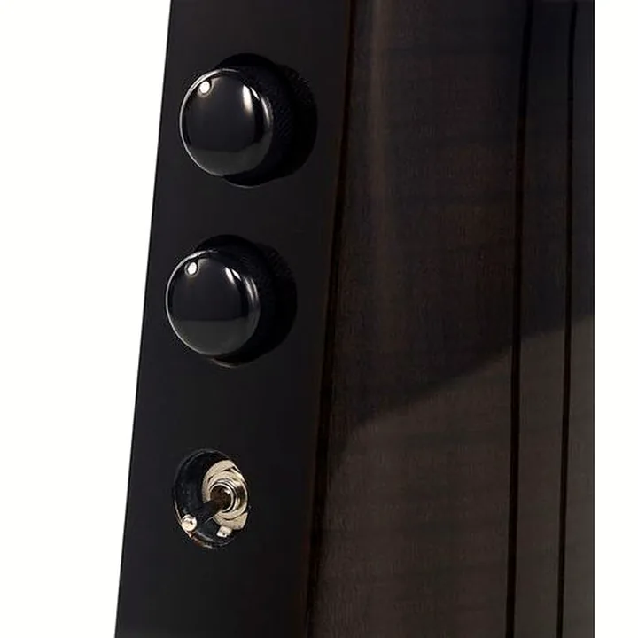 La contrebasse NS Design WAV4c-OB-BK Omni Bass – Test, Avis, Comparatif