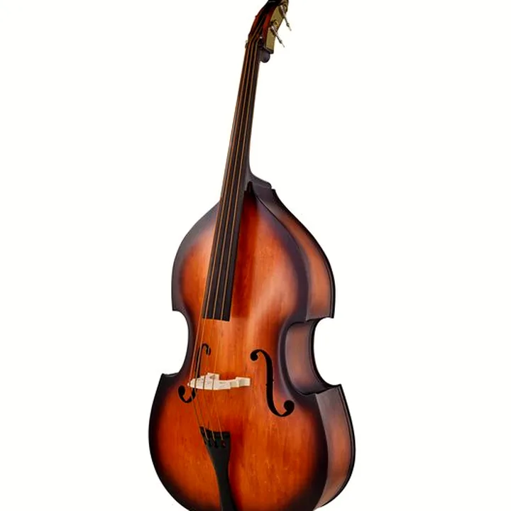 La contrebasse Thomann 111TS Rockabilly Vintage Bass – Test, Comparatif et Avis