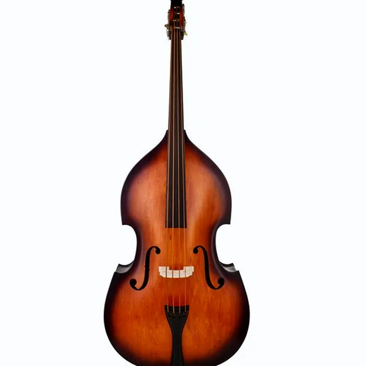 La contrebasse Thomann 111TS Rockabilly Vintage Bass – Test, Comparatif et Avis