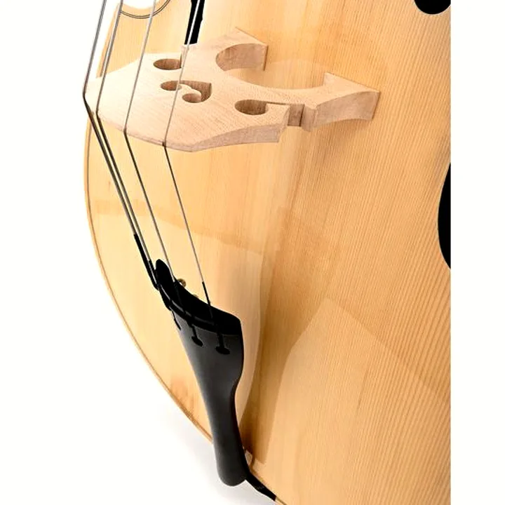 La contrebasse Thomann 33NA 4/4 Europe Double Bass Test, Avis & Comparatif
