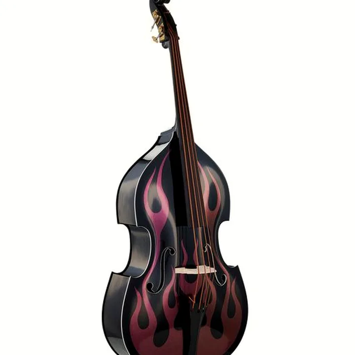 La contrebasse Thomann Rockabilly Sparkle Flames RP/V , Avis, Test