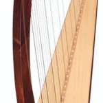 La harpe Salvi SALDON-DXNKP Donegal Walnut | Test, Avis & Comparatif