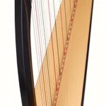 La harpe Salvi SALGAA-EPS Gaia Ebony | Test, Avis & Comparatif