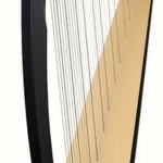 La harpe Salvi SALTIT-ESS Titan Ebony | Test, Avis & Comparatif