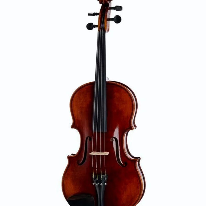 L’alto Bernd Hiller & Sohn Giovanni Paolo Maggini Viola , Test, Avis