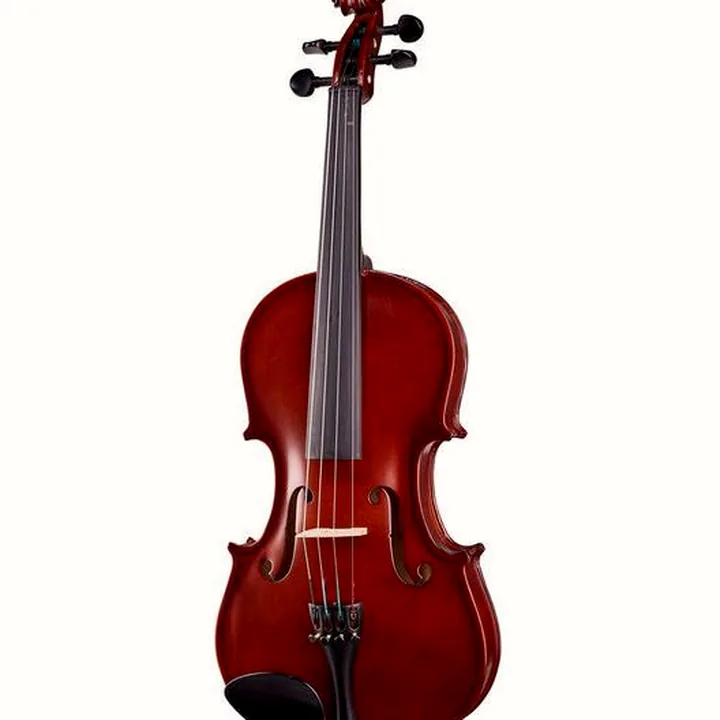 L’alto Hidersine Uno Viola Set 14″ Avis, Comparatif et Test